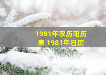 1981年农历阳历表 1981年日历